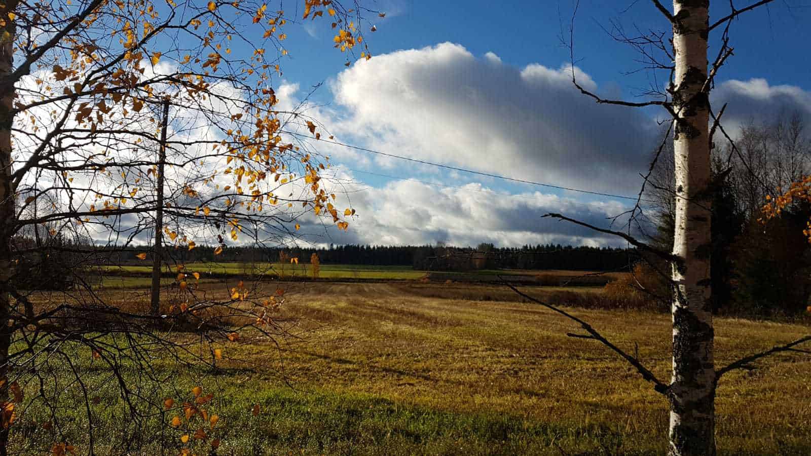 a field with blue sky and clouds in autumn